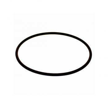 O-ring del coperchio dell'erogatore di compresse Hayward